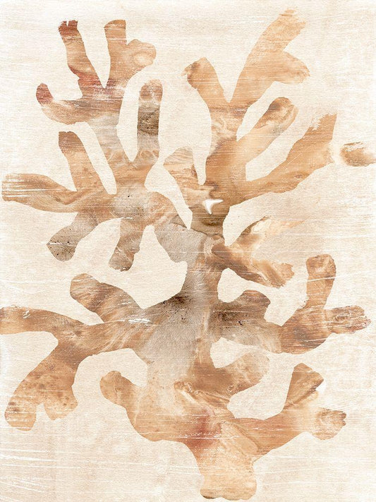 Image Only