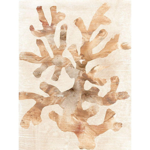 Parchment Coral I White Modern Wood Framed Art Print by Vess, June Erica