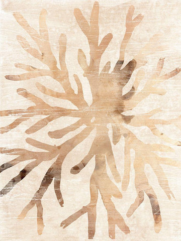 Parchment Coral II Black Ornate Wood Framed Art Print with Double Matting by Vess, June Erica