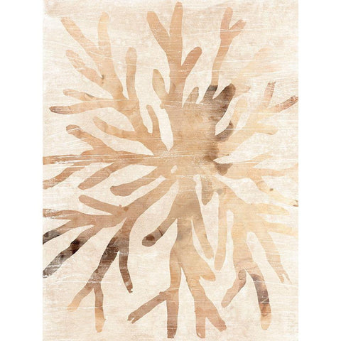 Parchment Coral II Gold Ornate Wood Framed Art Print with Double Matting by Vess, June Erica