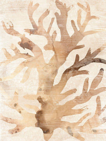 Parchment Coral III White Modern Wood Framed Art Print with Double Matting by Vess, June Erica