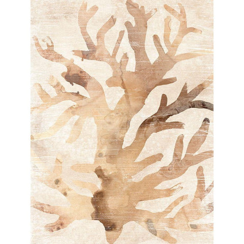 Parchment Coral III Black Modern Wood Framed Art Print with Double Matting by Vess, June Erica