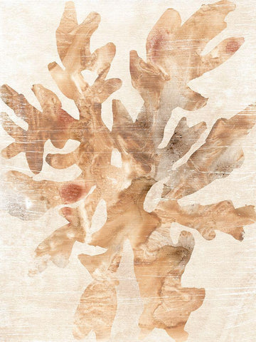 Parchment Coral IV Black Ornate Wood Framed Art Print with Double Matting by Vess, June Erica