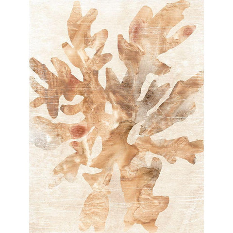 Parchment Coral IV Black Modern Wood Framed Art Print by Vess, June Erica