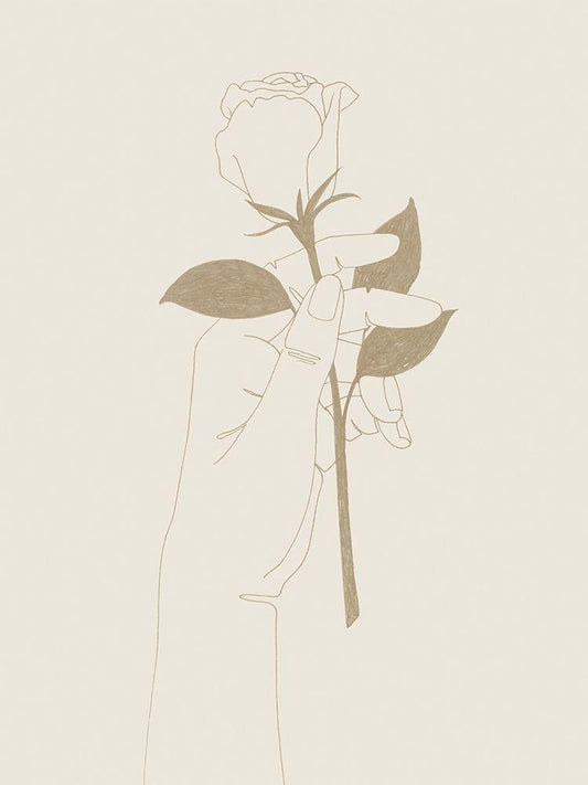 Image Only