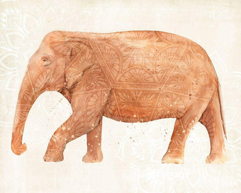 Elephant Wisdom II White Modern Wood Framed Art Print with Double Matting by Warren, Annie