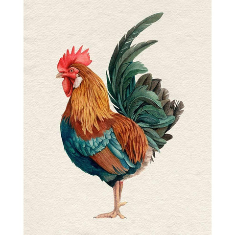 Watercolor Rooster II Gold Ornate Wood Framed Art Print with Double Matting by Popp, Grace