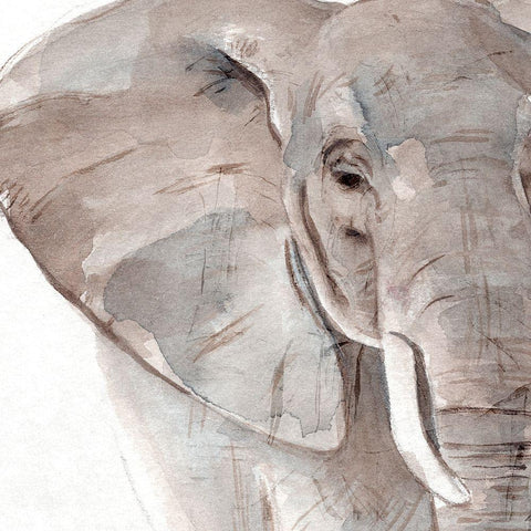 Elephant Grooves II Black Modern Wood Framed Art Print with Double Matting by Warren, Annie