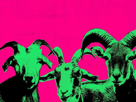 Pop Art Farm II Black Ornate Wood Framed Art Print with Double Matting by Warren, Annie