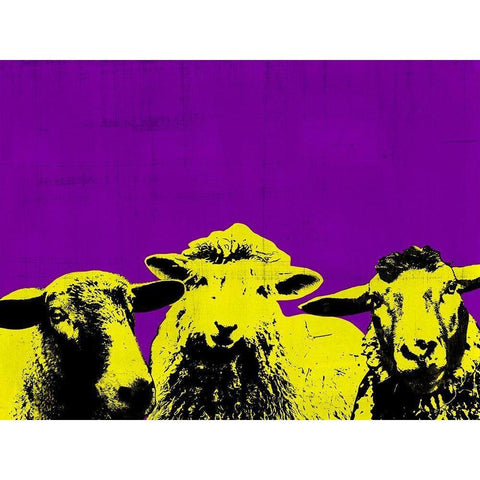 Pop Art Farm IV White Modern Wood Framed Art Print by Warren, Annie