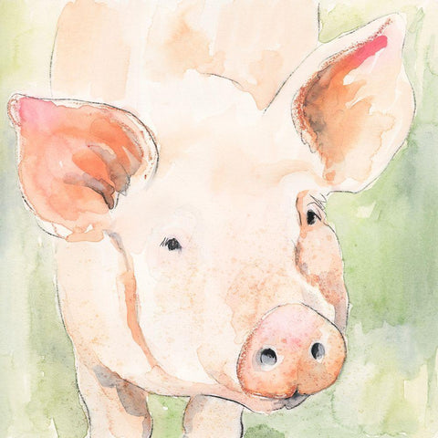 Sunny the Pig II White Modern Wood Framed Art Print with Double Matting by Barnes, Victoria