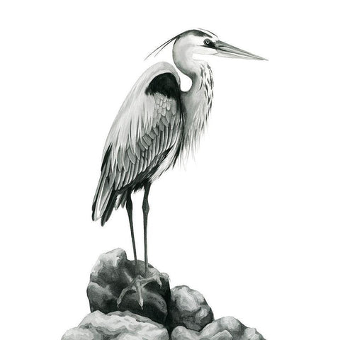 Shoreline Heron in BandW I Black Modern Wood Framed Art Print with Double Matting by Popp, Grace