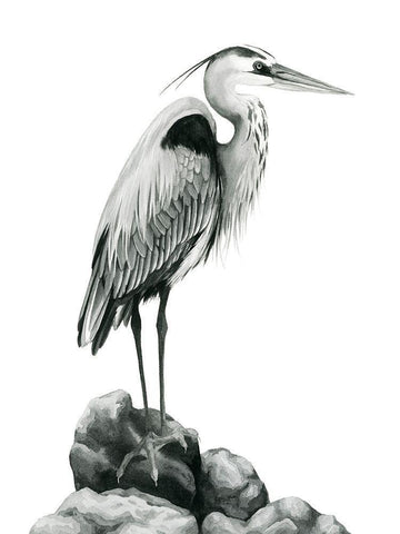 Shoreline Heron in BandW I Black Ornate Wood Framed Art Print with Double Matting by Popp, Grace
