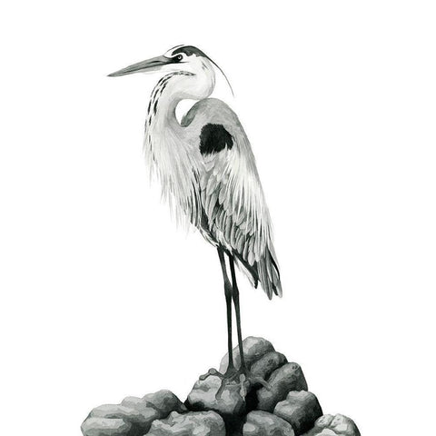 Shoreline Heron in BandW II Black Modern Wood Framed Art Print with Double Matting by Popp, Grace