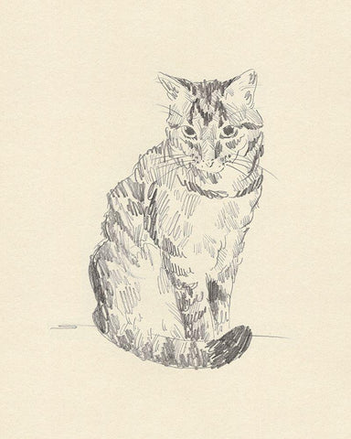 House Cat I White Modern Wood Framed Art Print with Double Matting by Green, Jacob