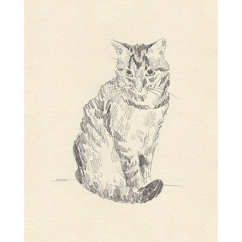 House Cat I Black Modern Wood Framed Art Print with Double Matting by Green, Jacob