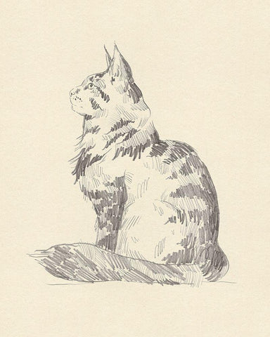 House Cat II Black Ornate Wood Framed Art Print with Double Matting by Green, Jacob