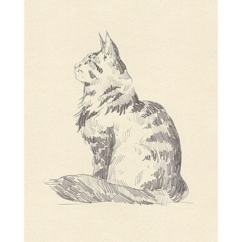 House Cat II White Modern Wood Framed Art Print by Green, Jacob