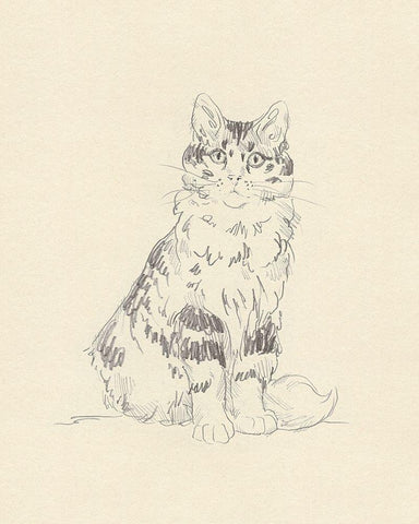 House Cat III White Modern Wood Framed Art Print with Double Matting by Green, Jacob