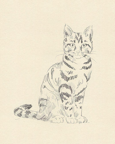 House Cat IV White Modern Wood Framed Art Print with Double Matting by Green, Jacob