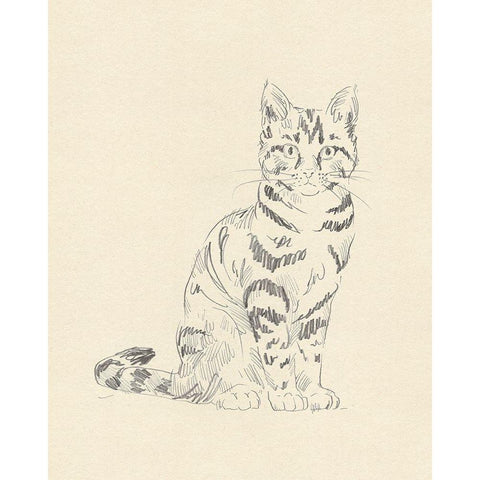 House Cat IV Black Modern Wood Framed Art Print by Green, Jacob