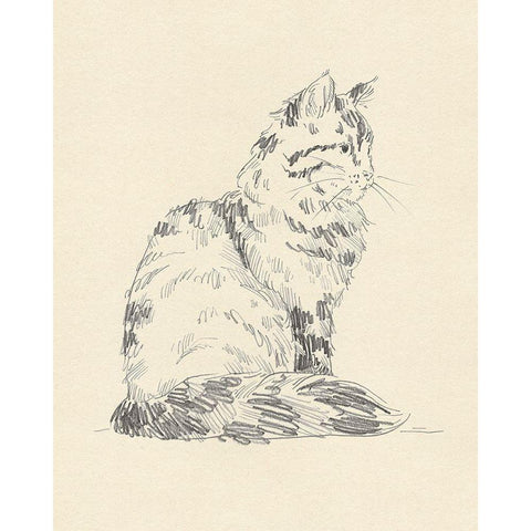 House Cat VI Black Modern Wood Framed Art Print with Double Matting by Green, Jacob