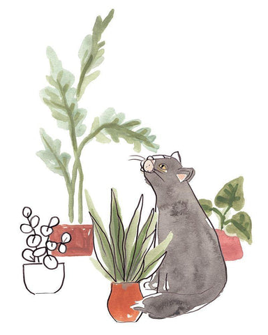 Purrfect Plants IV White Modern Wood Framed Art Print with Double Matting by Vess, June Erica