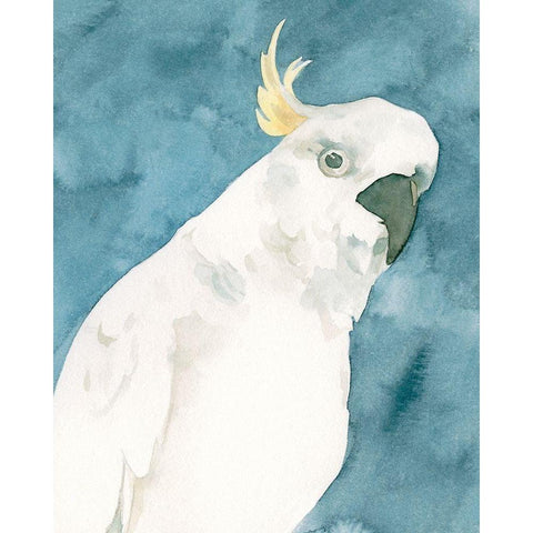 Cockatoo Portrait I Gold Ornate Wood Framed Art Print with Double Matting by Caroline, Emma