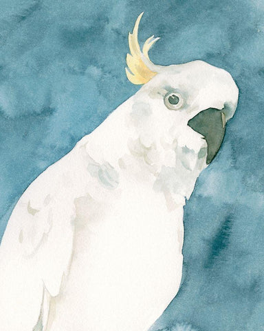 Cockatoo Portrait I White Modern Wood Framed Art Print with Double Matting by Caroline, Emma