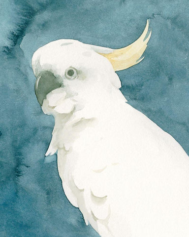 Cockatoo Portrait II White Modern Wood Framed Art Print with Double Matting by Caroline, Emma