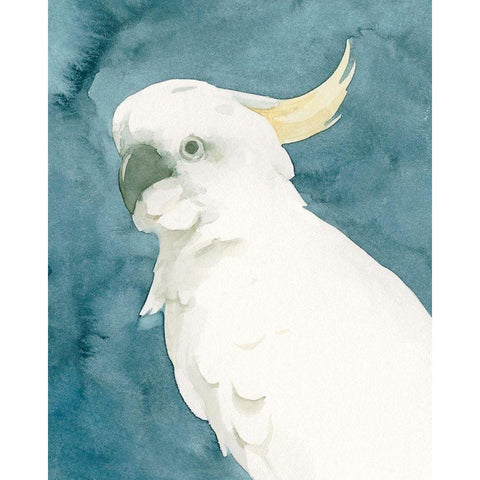 Cockatoo Portrait II Black Modern Wood Framed Art Print by Caroline, Emma