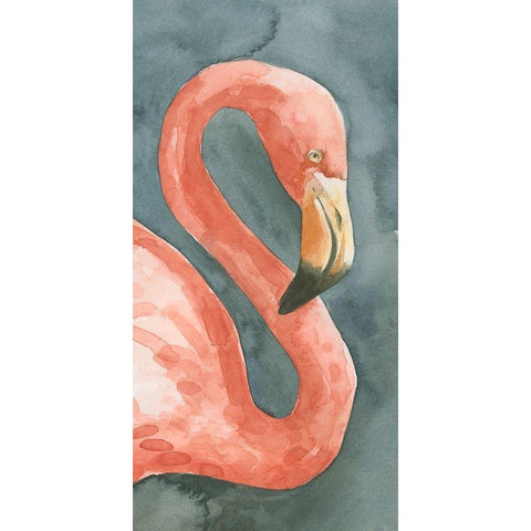 Flamingo Study I Black Modern Wood Framed Art Print by Caroline, Emma
