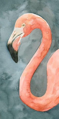 Flamingo Study II White Modern Wood Framed Art Print with Double Matting by Caroline, Emma