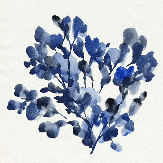 Image Only