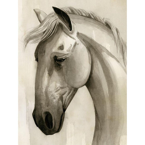 Freckled Pony I White Modern Wood Framed Art Print by Popp, Grace