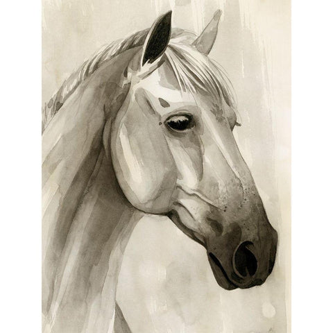 Freckled Pony II White Modern Wood Framed Art Print by Popp, Grace