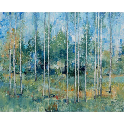 Woodland View II Black Modern Wood Framed Art Print with Double Matting by OToole, Tim