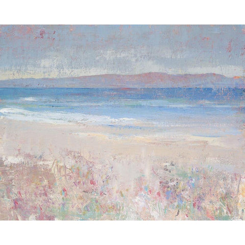 Beach Textures I Gold Ornate Wood Framed Art Print with Double Matting by OToole, Tim