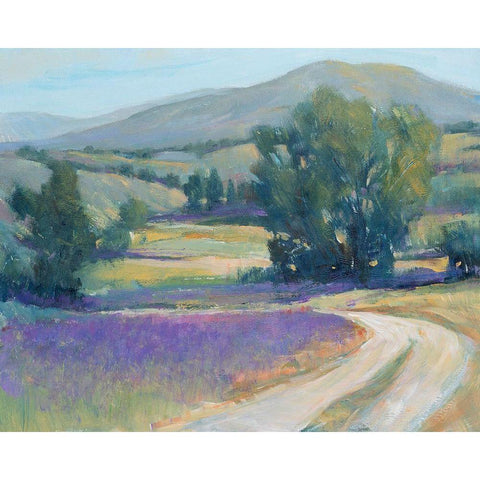 Lavender Meadow I Black Modern Wood Framed Art Print with Double Matting by OToole, Tim