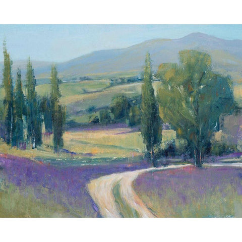 Lavender Meadow II Black Modern Wood Framed Art Print with Double Matting by OToole, Tim