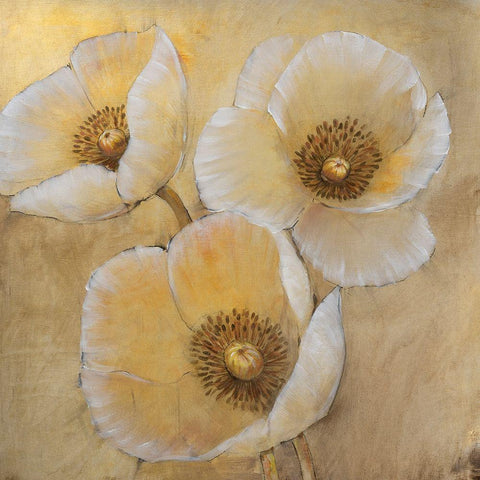 Golden Highlights I Black Modern Wood Framed Art Print with Double Matting by OToole, Tim