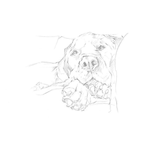 Lazy Dog I White Modern Wood Framed Art Print by Harper, Ethan