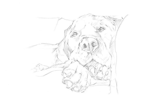 Lazy Dog I Black Ornate Wood Framed Art Print with Double Matting by Harper, Ethan