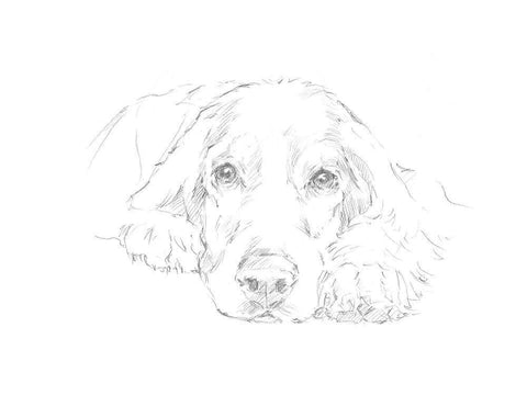 Lazy Dog II White Modern Wood Framed Art Print with Double Matting by Harper, Ethan