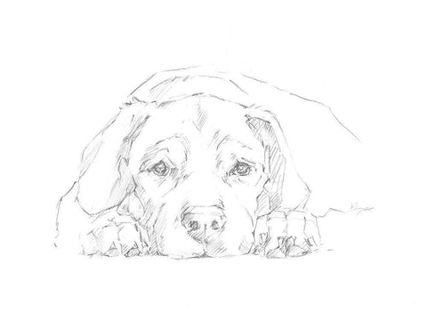 Lazy Dog III White Modern Wood Framed Art Print with Double Matting by Harper, Ethan