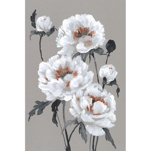 Peony Profusion I Black Modern Wood Framed Art Print with Double Matting by Goldberger, Jennifer