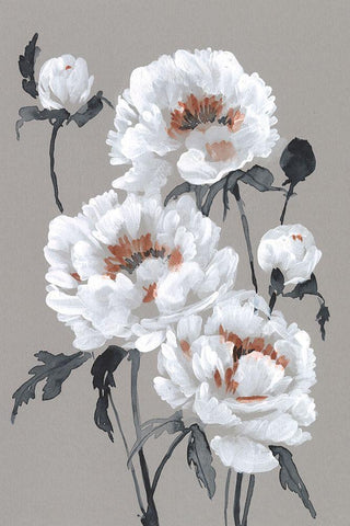 Peony Profusion I Black Ornate Wood Framed Art Print with Double Matting by Goldberger, Jennifer