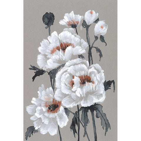 Peony Profusion II Black Modern Wood Framed Art Print with Double Matting by Goldberger, Jennifer