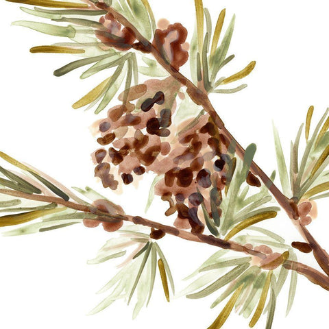 Simple Pine Cone II Gold Ornate Wood Framed Art Print with Double Matting by Vess, June Erica