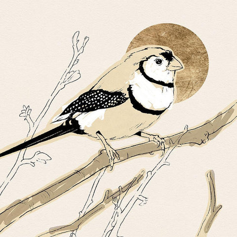 Spring Passerine I Black Modern Wood Framed Art Print by Green, Jacob